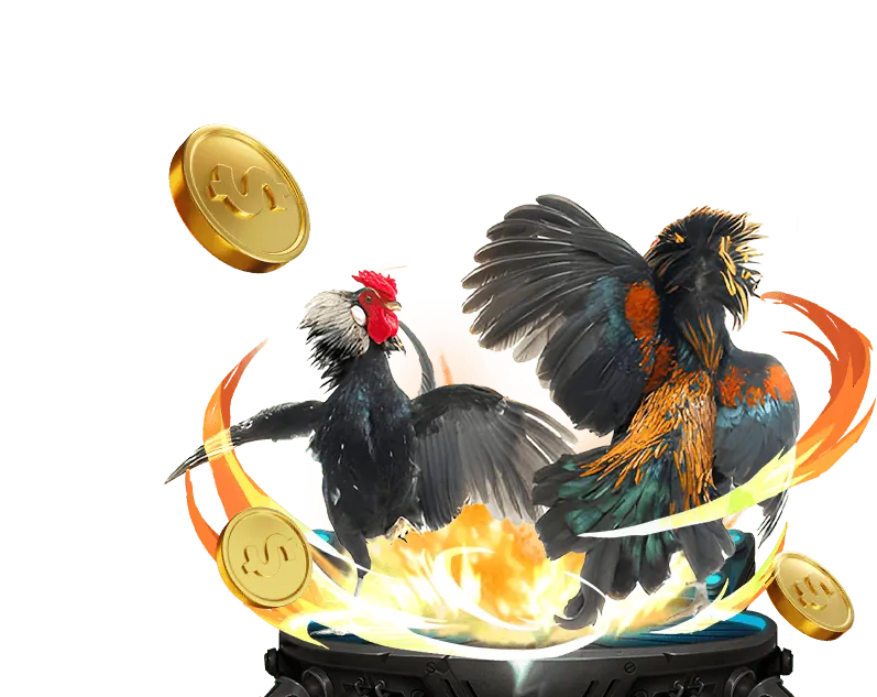 Giá trị cốt lõi tai rik vip